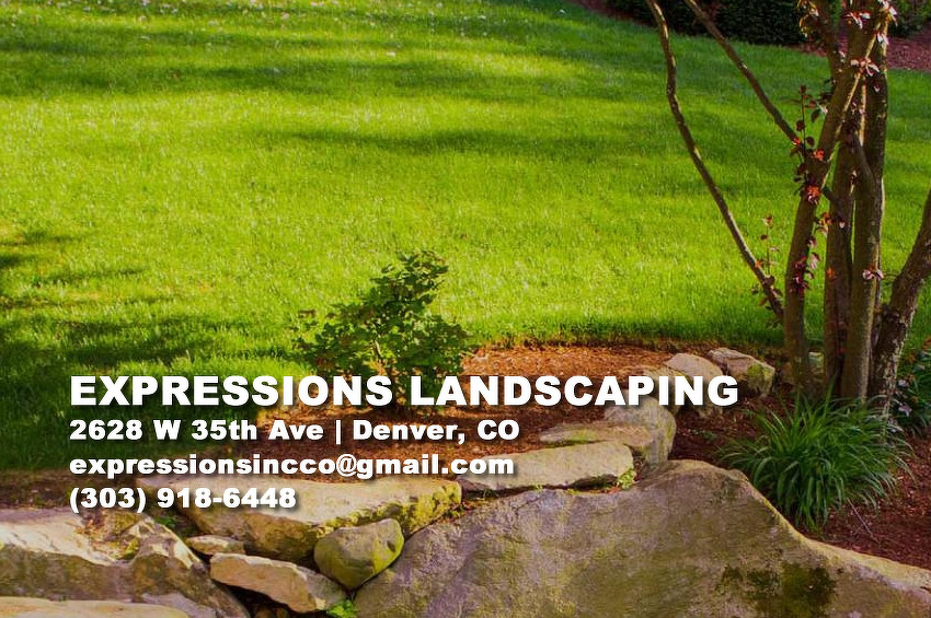 Expressions Landscaping
